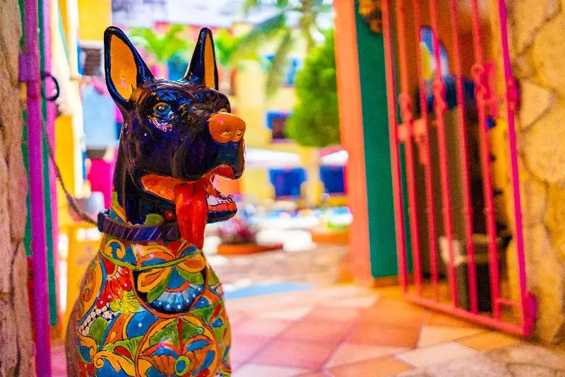 Fotos del hotel Hacienda Maria Bonita:  16