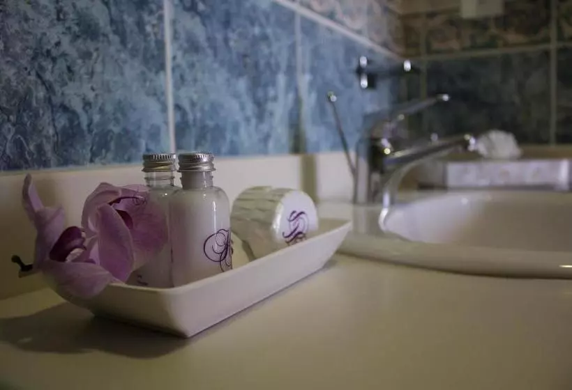 Fotos del hotel Plaza Colonial:  19