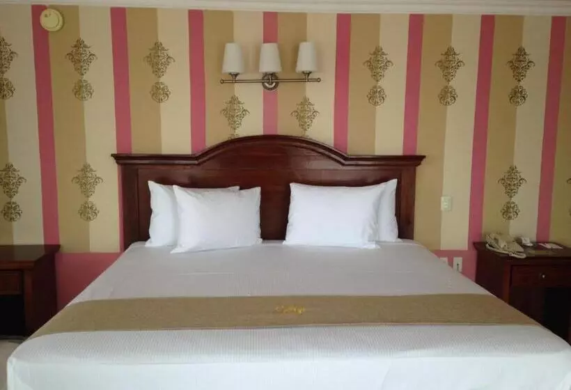 Fotos del hotel Plaza Colonial:  22