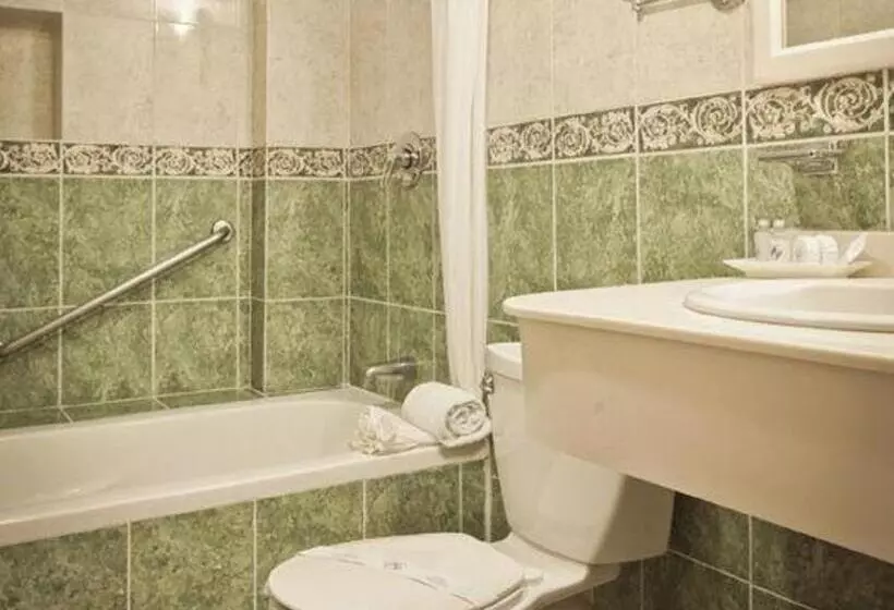 Fotos del hotel Plaza Colonial:  5