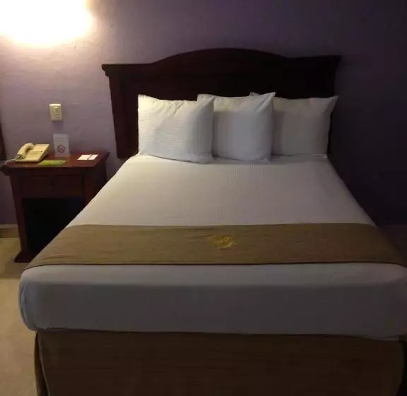 Fotos del hotel Plaza Colonial:  23