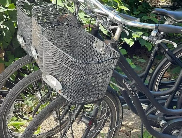 Fotos del hotel Sofs Boutique:  16