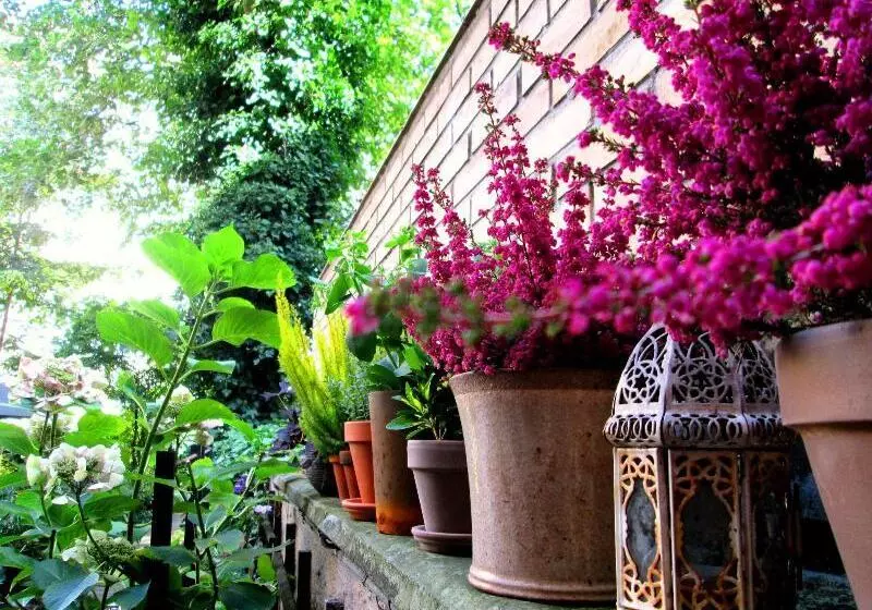 Fotos del hotel Sofs Boutique:  4