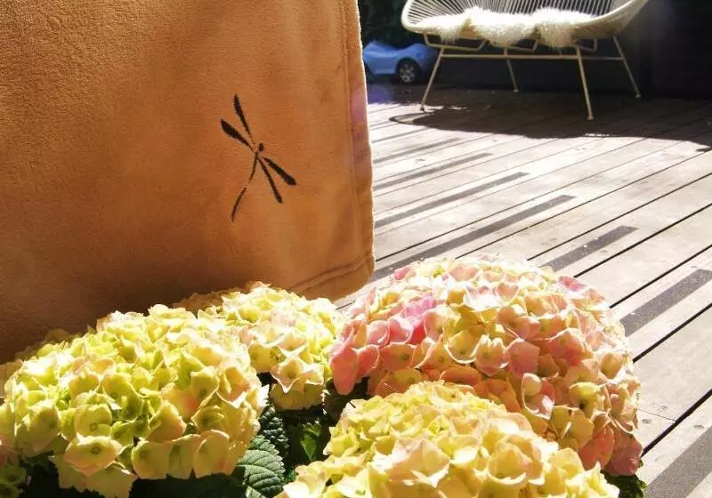 Fotos del hotel Sofs Boutique:  10