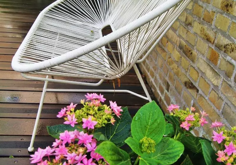 Fotos del hotel Sofs Boutique:  24