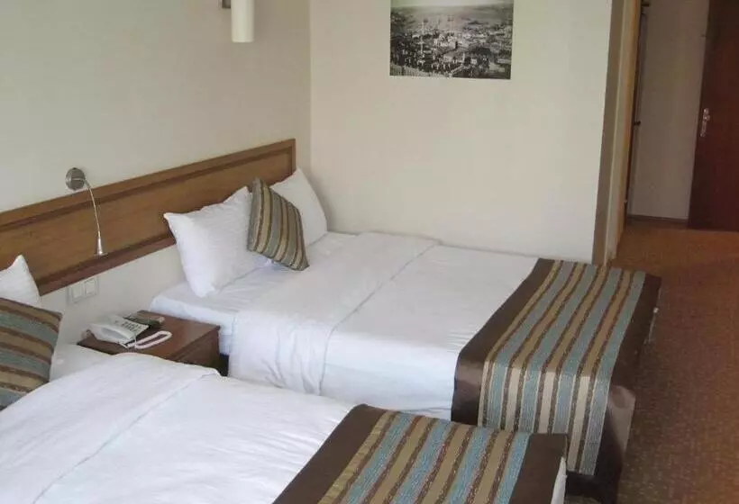 Fotos del hotel Avlonya:  19