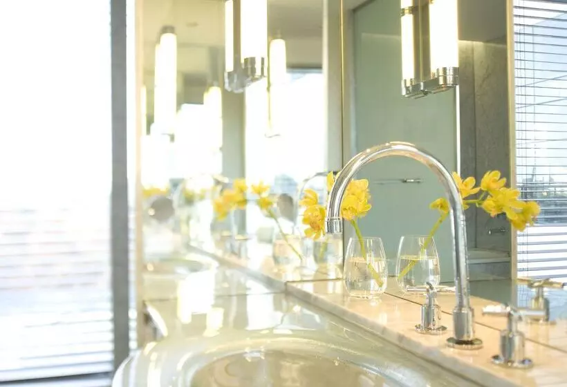 Fotos del hotel Park Hyatt Mendoza , Casino & Spa:  6