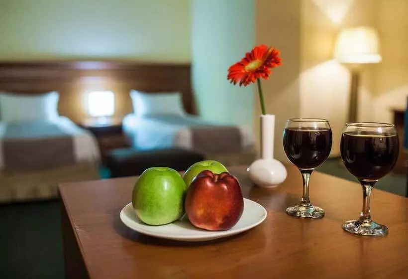 Fotos del hotel Aviatrans:  20