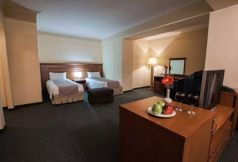 Fotos del hotel Aviatrans:  18