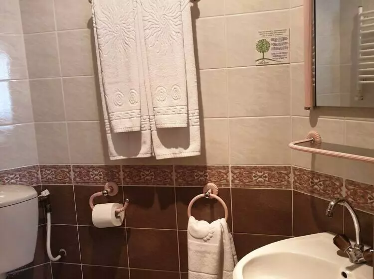 Fotos del hotel Dacia:  7