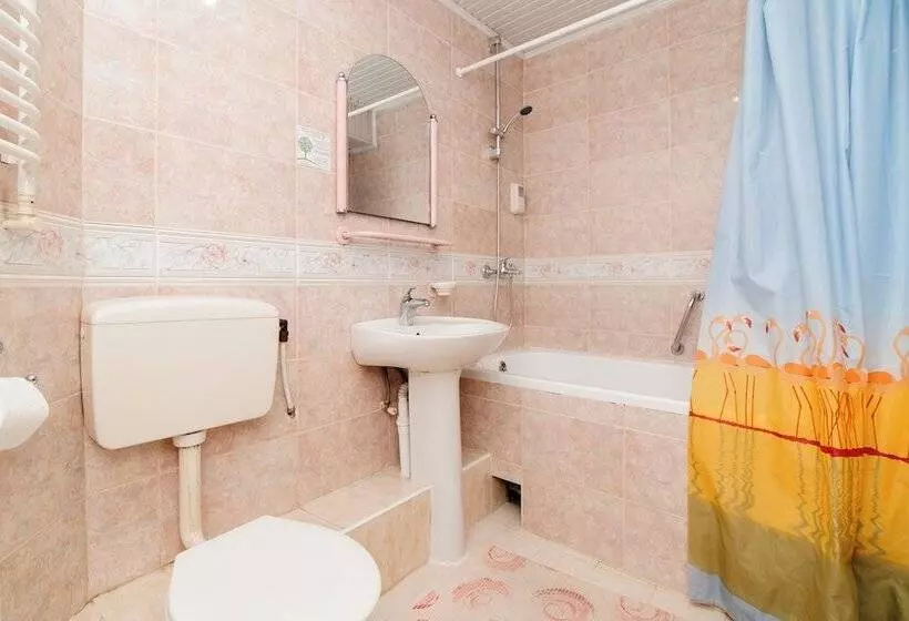 Fotos del hotel Dacia:  9