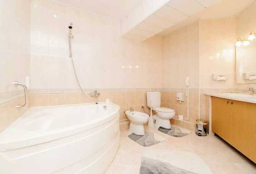 Fotos del hotel Dacia:  11