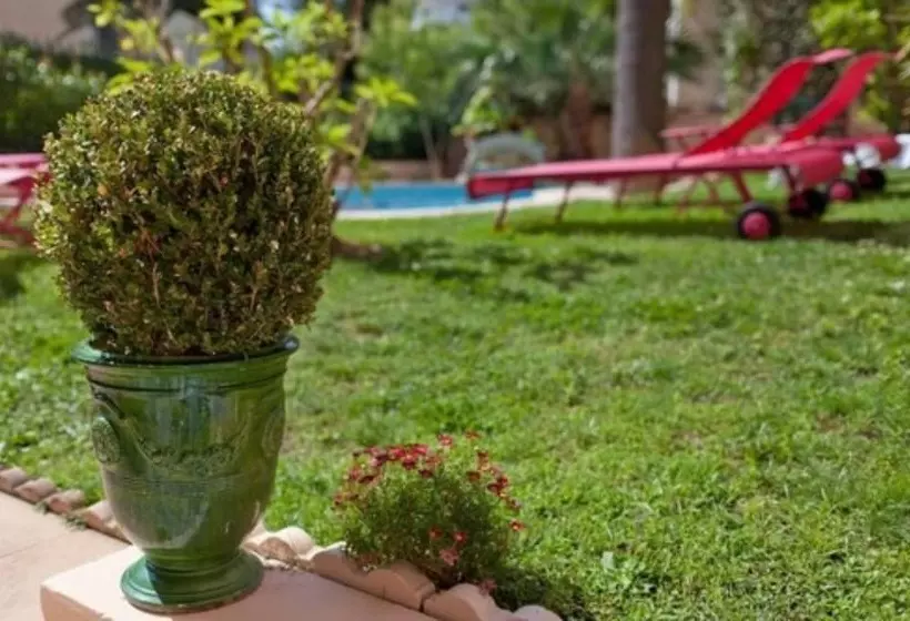 Fotos del hotel Sun Riviera:  17