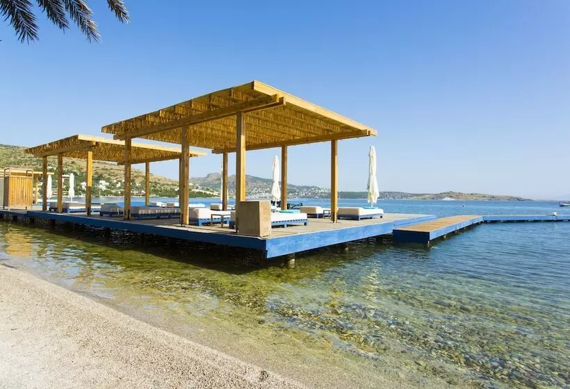 Fotos del hotel The Marmara Bodrum - Adult Only:  5