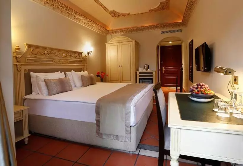 Fotos del hotel Sultanahmet Palace Hotel  Special Class:  10