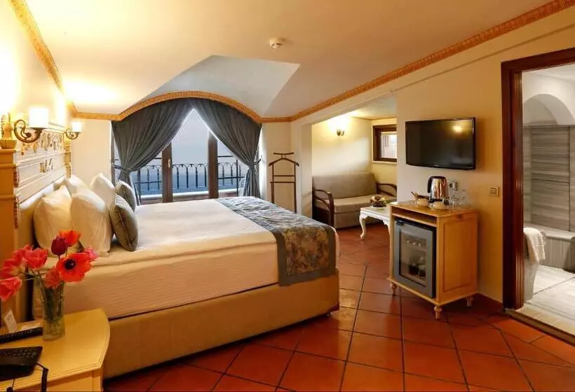 Fotos del hotel Sultanahmet Palace Hotel  Special Class:  18