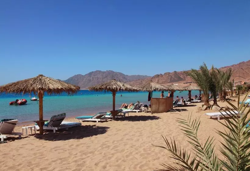 Fotos del hotel Swiss Inn Resort Dahab:  22