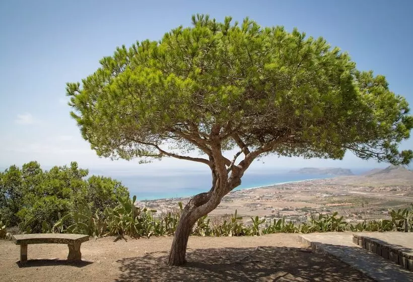 Fotos del hotel Vila Baleira Porto Santo:  36