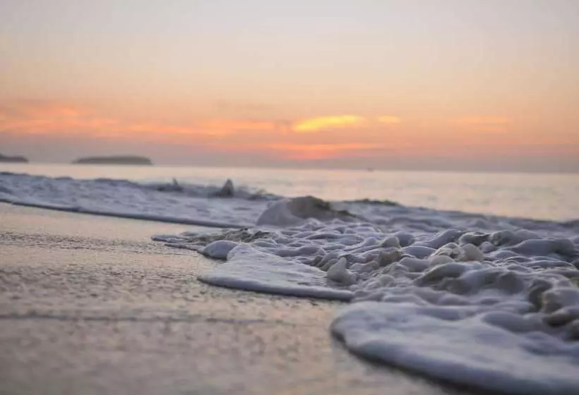 Fotos del hotel Vila Baleira Porto Santo:  21