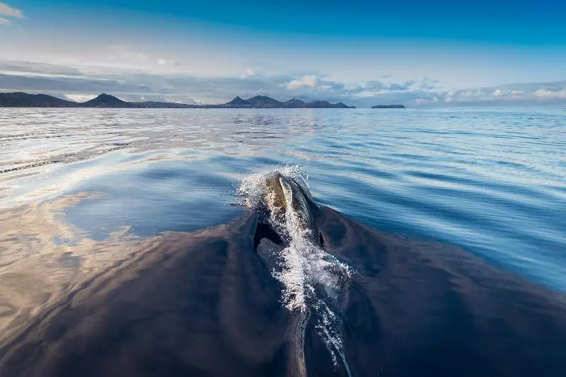 Fotos del hotel Vila Baleira Porto Santo:  17