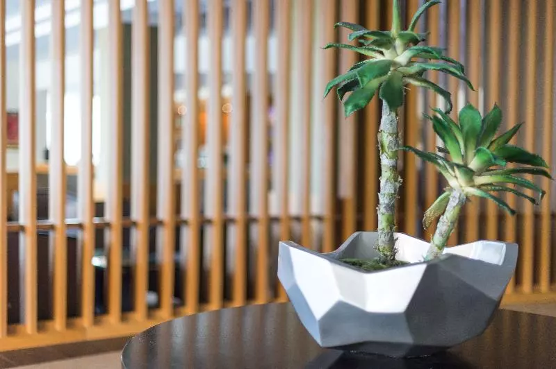 Fotos del hotel Vila Baleira Porto Santo:  55