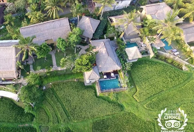 Fotos del hotel Wapa Di Ume Ubud:  8