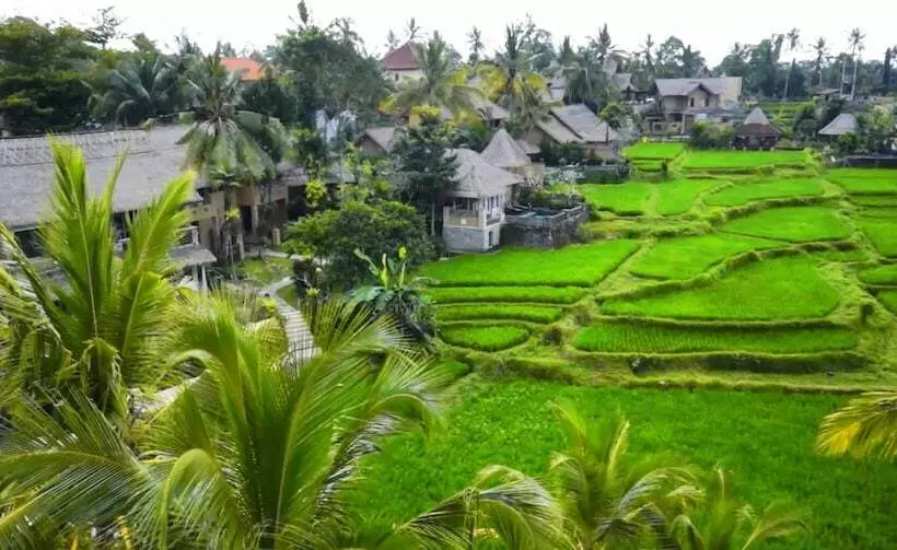 Fotos del hotel Wapa Di Ume Ubud:  13