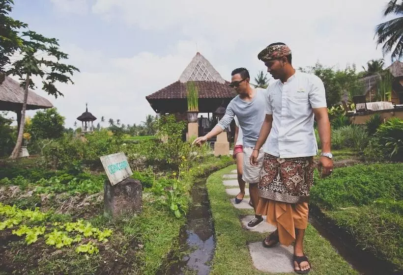 Fotos del hotel Wapa Di Ume Ubud:  19