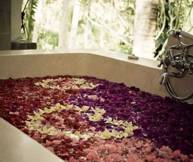 Fotos del hotel Wapa Di Ume Ubud:  2