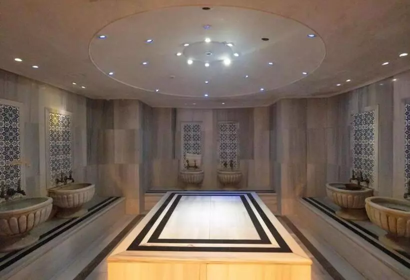 Fotos del hotel The Green Park Bostanc?:  5