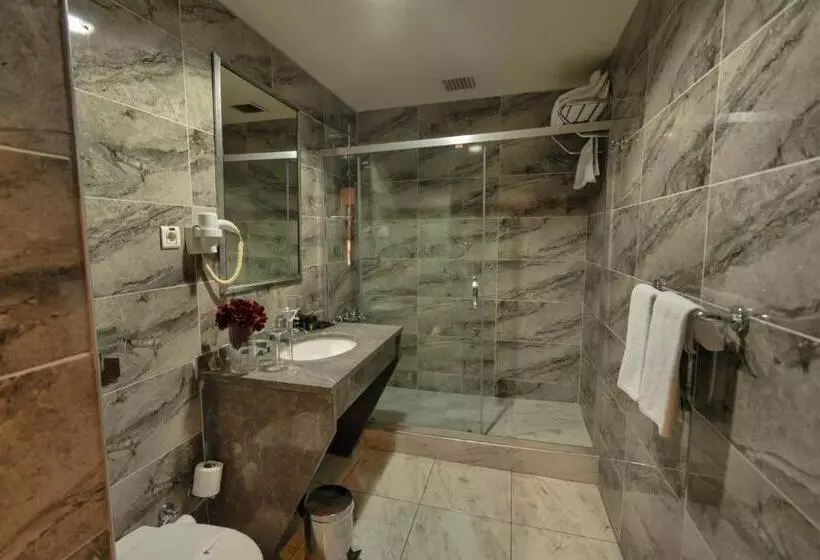 Fotos del hotel The Green Park Bostanc?:  15