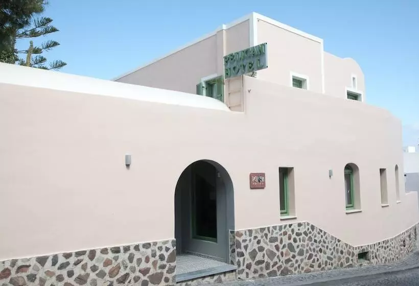 Fotos del hotel Pelican:  23