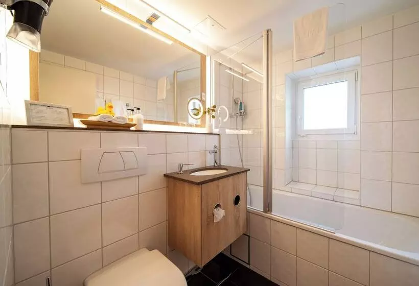 Fotos del hotel Spalentor - Ihr Sympathisches Stadt:  13