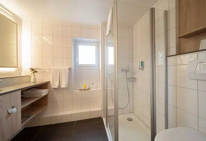 Fotos del hotel Spalentor - Ihr Sympathisches Stadt:  9