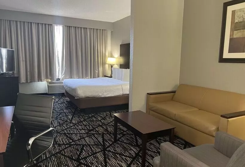 Fotos del hotel Best Western Plus Hobby Airport Inn And Suites:  8