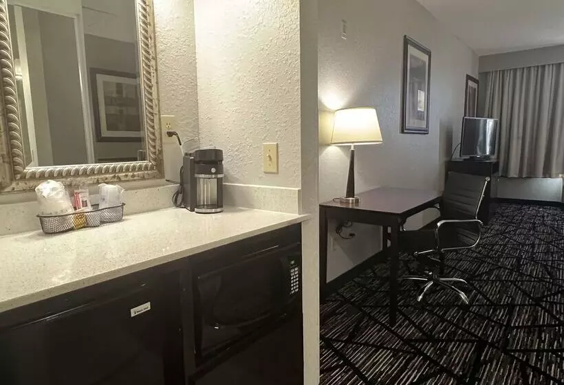 Fotos del hotel Best Western Plus Hobby Airport Inn And Suites:  14