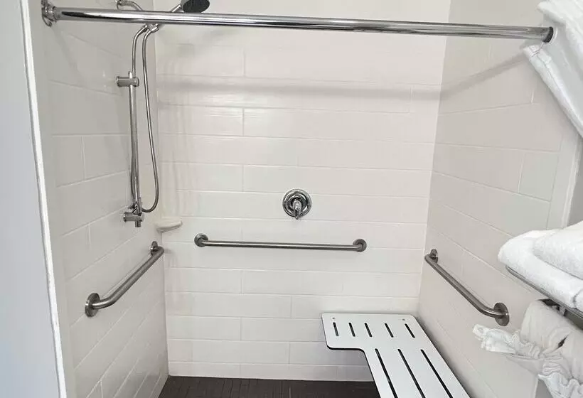 Fotos del hotel Best Western Plus Hobby Airport Inn And Suites:  18