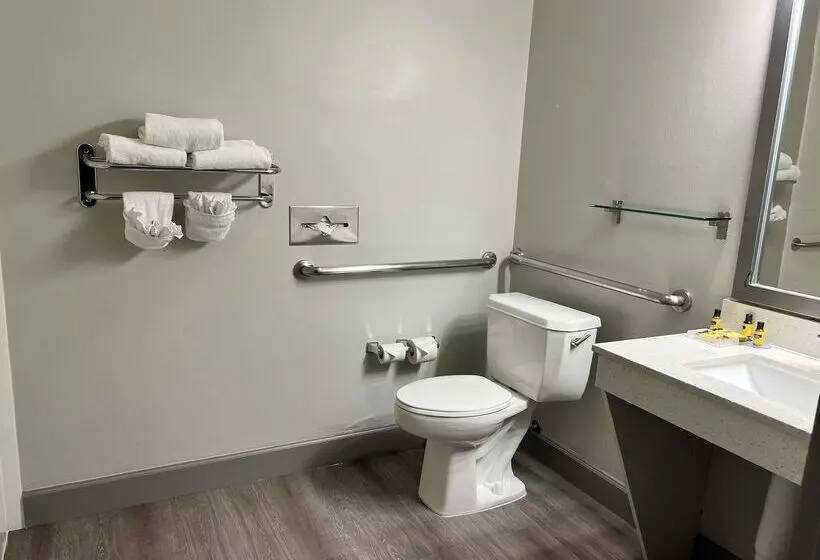 Fotos del hotel Best Western Plus Hobby Airport Inn And Suites:  12