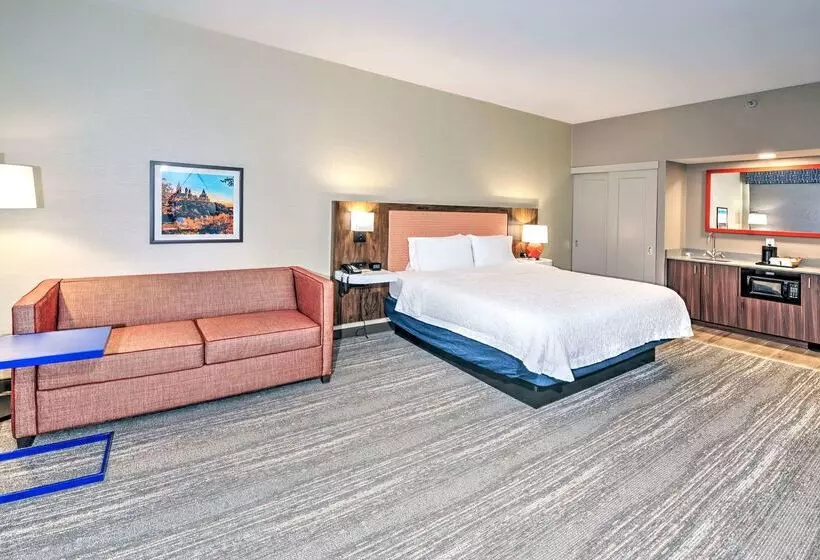 Fotos del hotel Hampton By Hilton Ottawa:  16