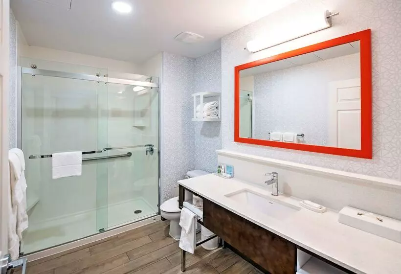 Fotos del hotel Hampton By Hilton Ottawa:  6