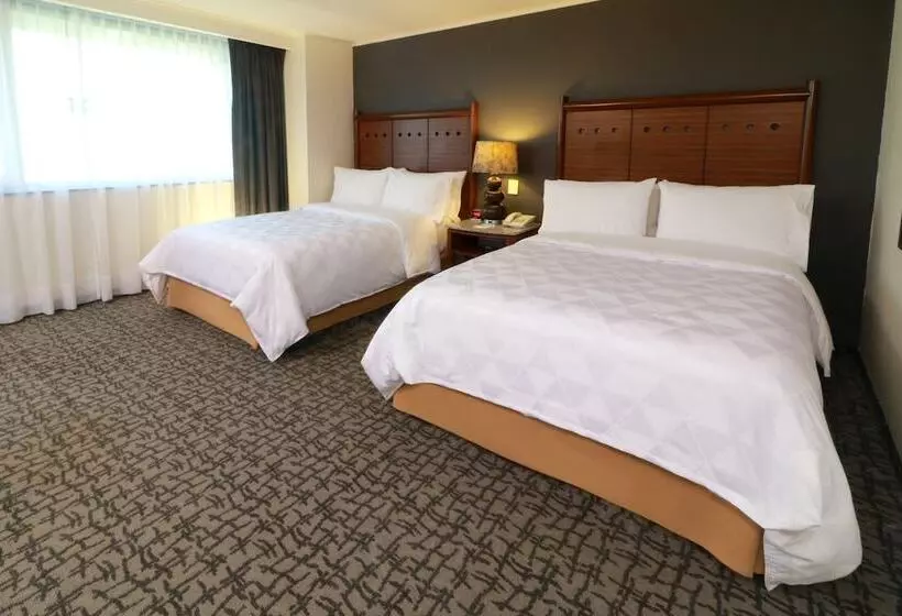 Fotos del hotel Holiday Inn Mexico City - Trade Center, An Ihg:  21