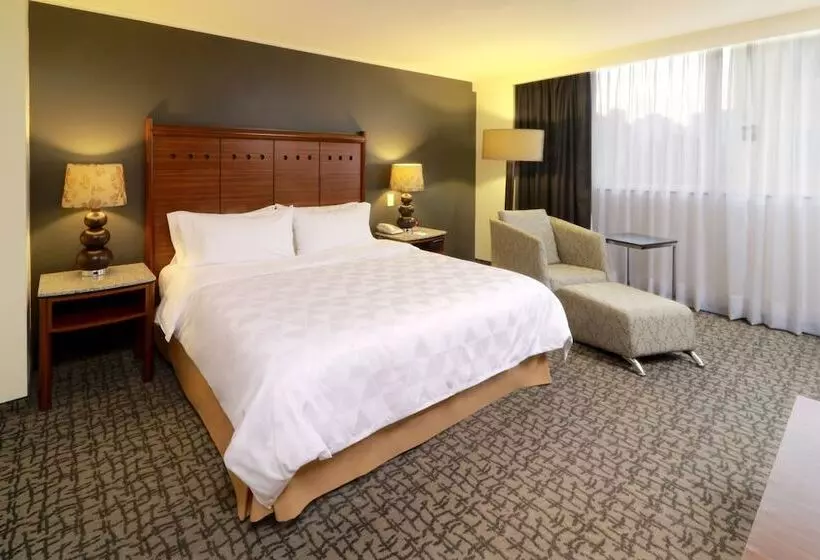Fotos del hotel Holiday Inn Mexico City - Trade Center, An Ihg:  20