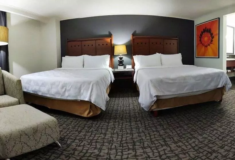 Fotos del hotel Holiday Inn Mexico City - Trade Center, An Ihg:  14