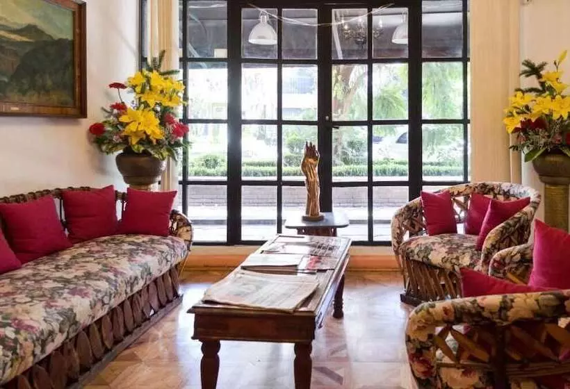 Fotos del hotel Residencia Polanco:  7