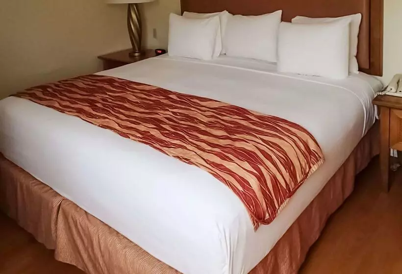 Fotos del hotel Rodeway Inn South Miami - Coral Gables South Miami:  23