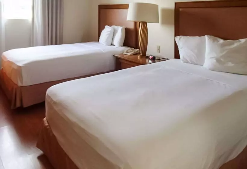 Fotos del hotel Rodeway Inn South Miami - Coral Gables South Miami:  22