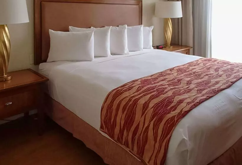 Fotos del hotel Rodeway Inn South Miami - Coral Gables South Miami:  10