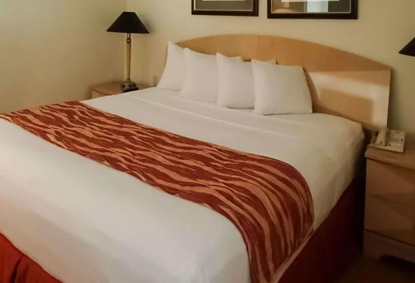 Fotos del hotel Rodeway Inn South Miami - Coral Gables South Miami:  2