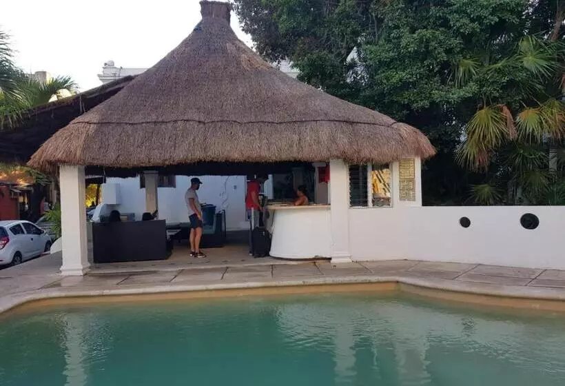 Fotos del hotel Tropical Casablanca Party Zone:  12