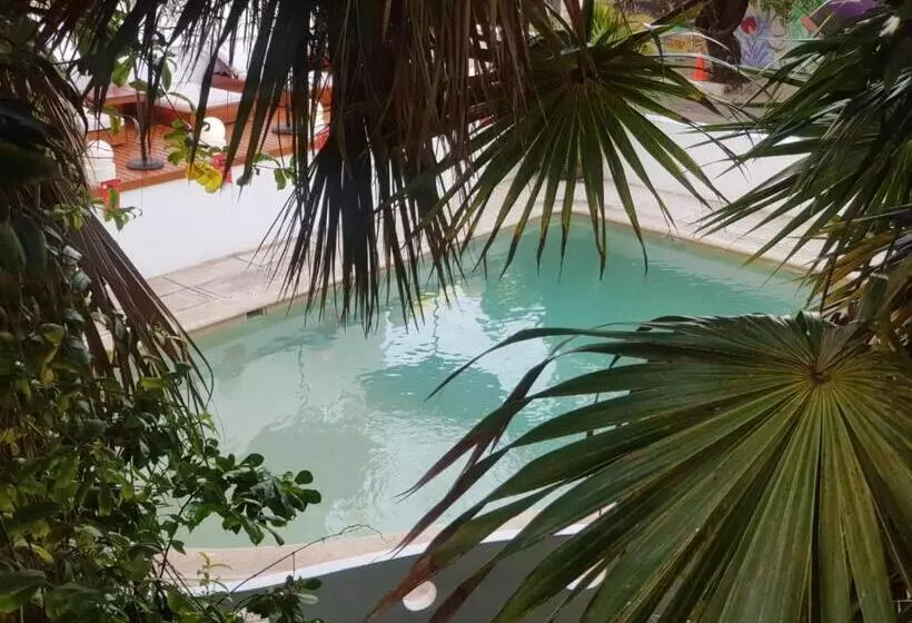 Fotos del hotel Tropical Casablanca Party Zone:  11